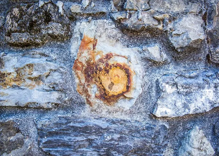 Проживание в семье J&j House *