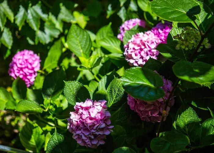 Проживание в семье J&j House Castelmarte