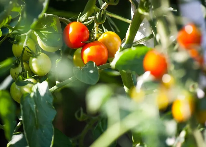 Проживание в семье J&j House Castelmarte