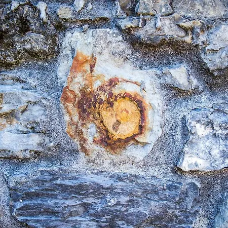 Privatunterkunft J&j House *