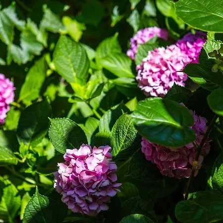 Δωμάτια σε οικογενειακή κατοικία J&j House Castelmarte