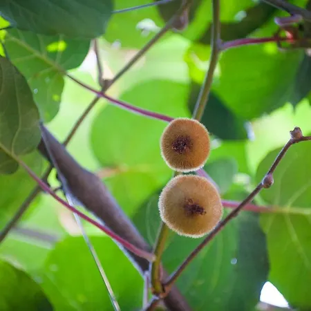 J&j House Ubytování v soukromí Castelmarte